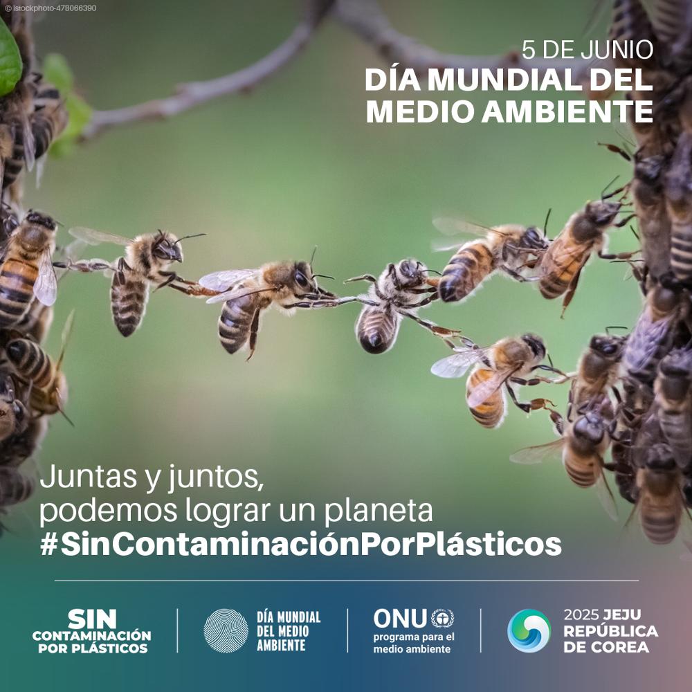 Dia Mundial del Medio Ambiente