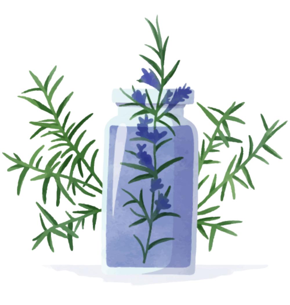 PLANTAS MEDICINALES.