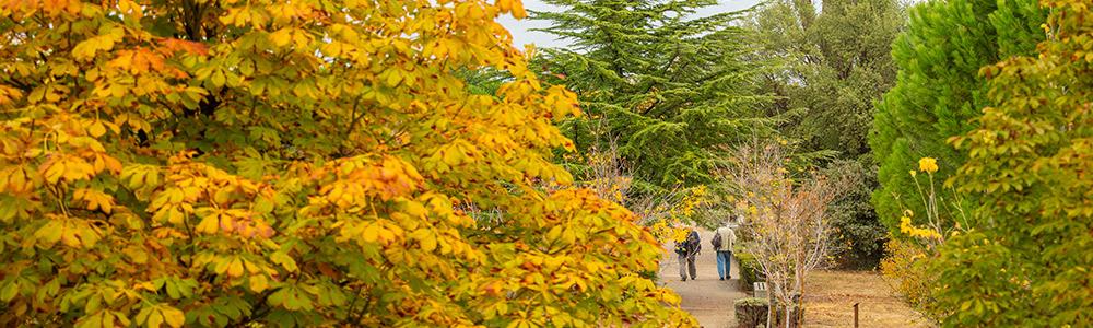 Biodiversidad cercana