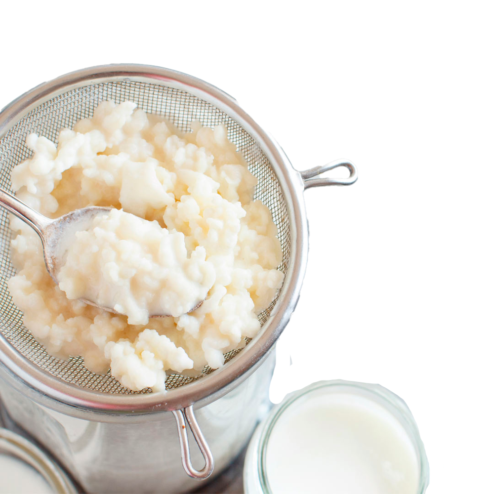 KEFIR
