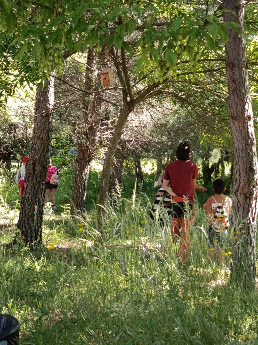 Proyecto Biodiversidad cercana