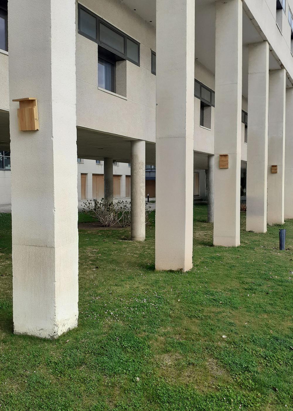 Refugios de Salamanquesas