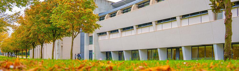 EL ENTORNO DE LOS CAMPUS