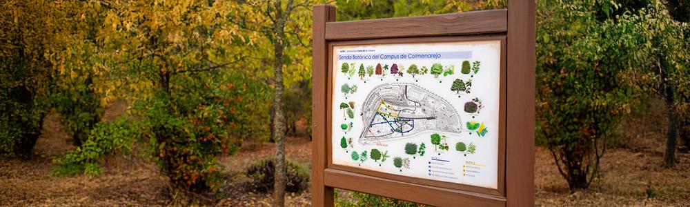 Senda botánica del Campus de Colmenarejo