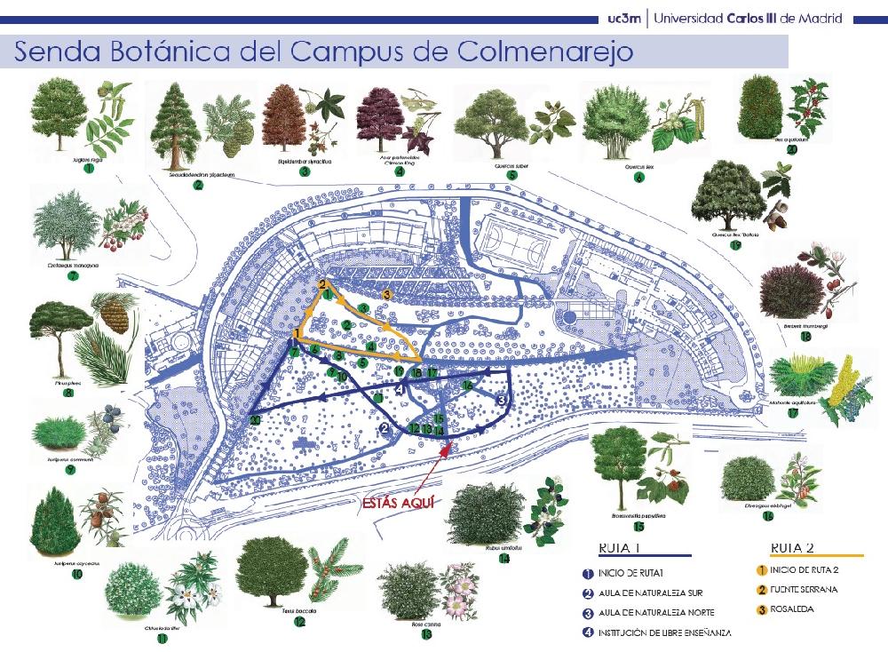 Plano de la senda botánica del Campus de Colmenarejo