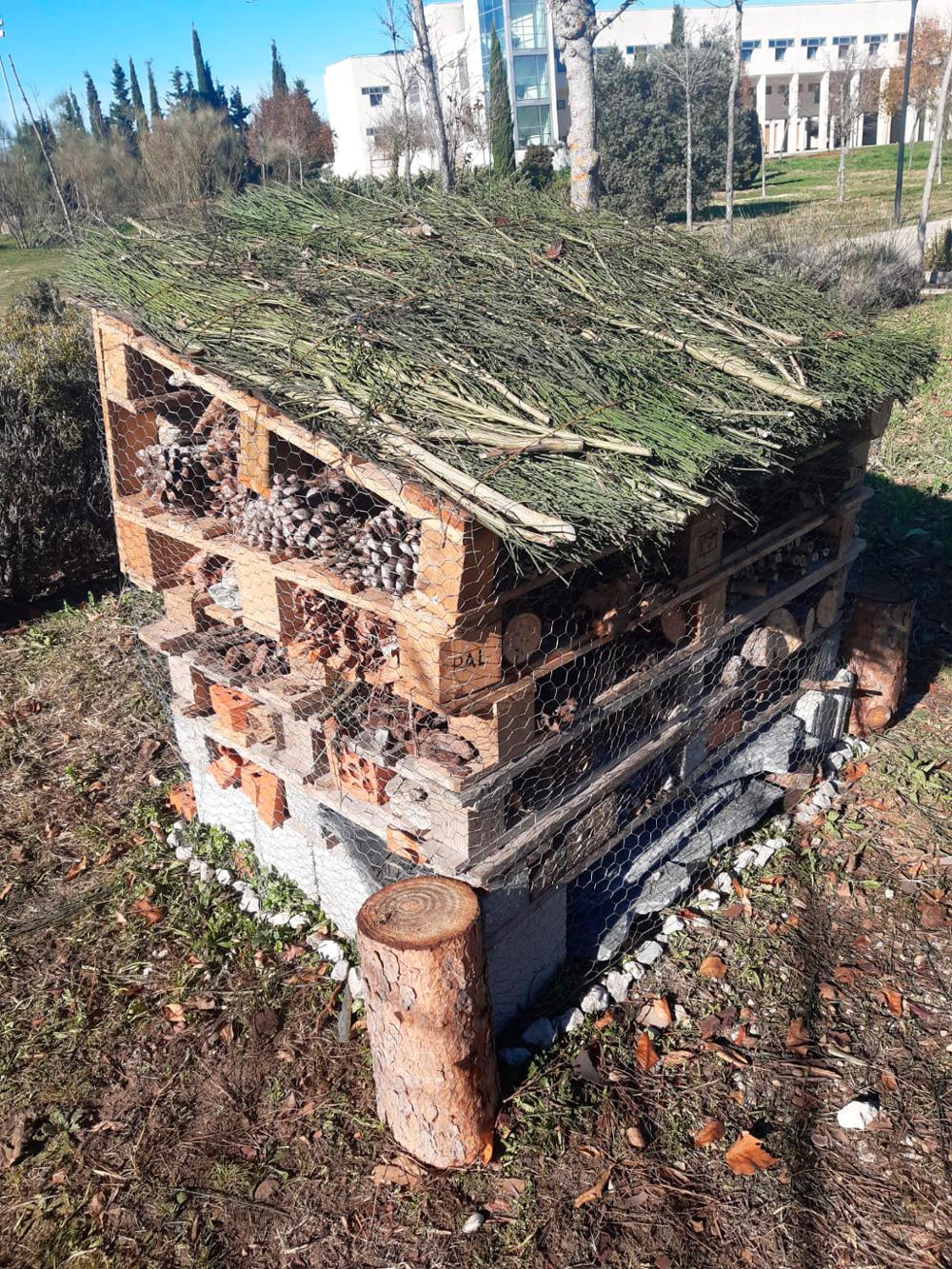 Hotel de insectos