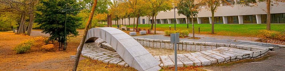 Líneas de actuación