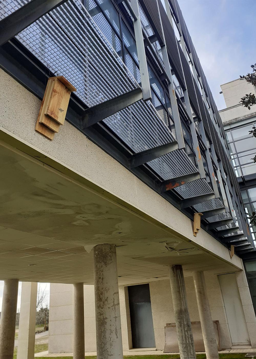 Refugio para murciélagos en la Residencia de Estudiantes del Campus de Colmenarejo