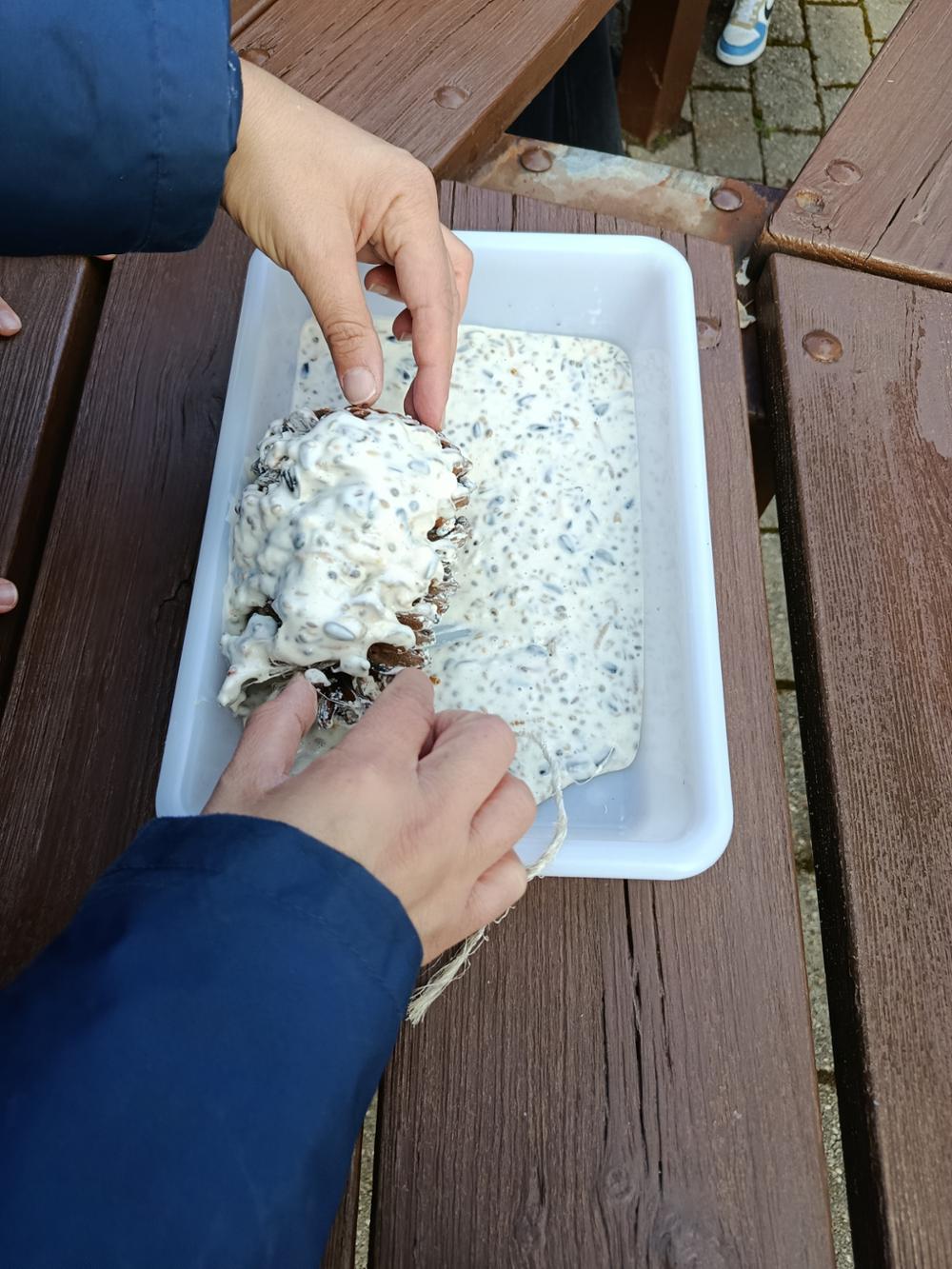 Biodiversidad cercana