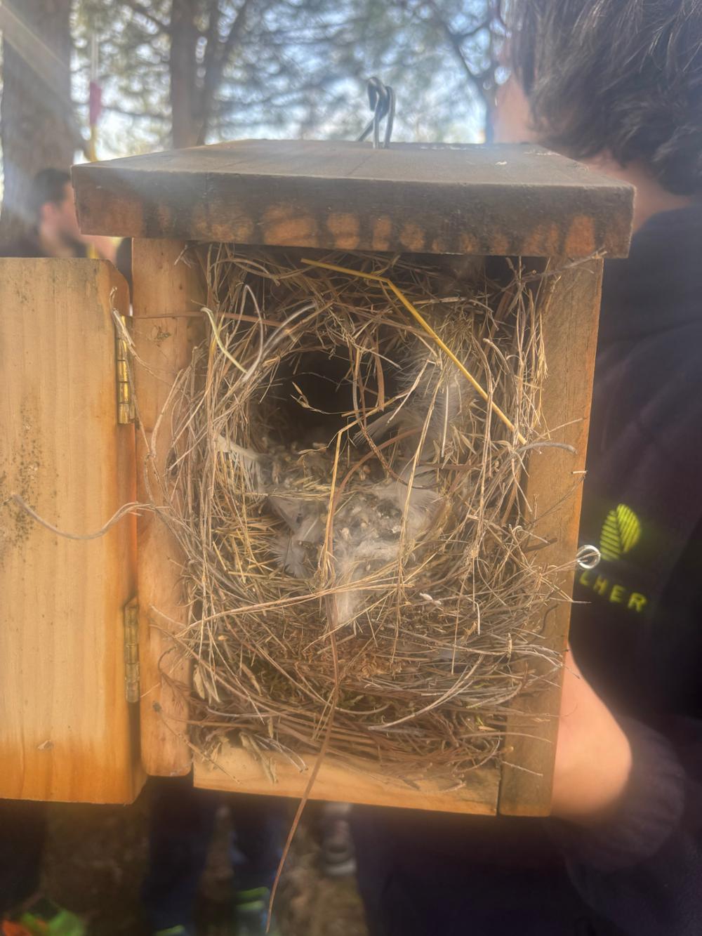 Biodiversidad cercana