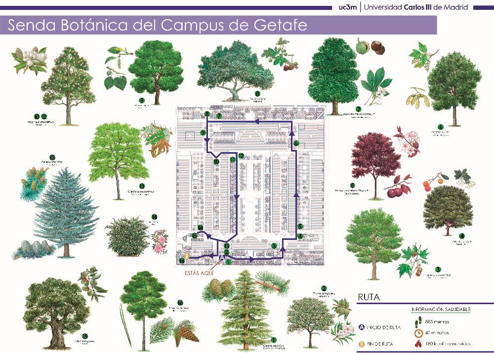 Plano senda botánica del Campus de Getafe