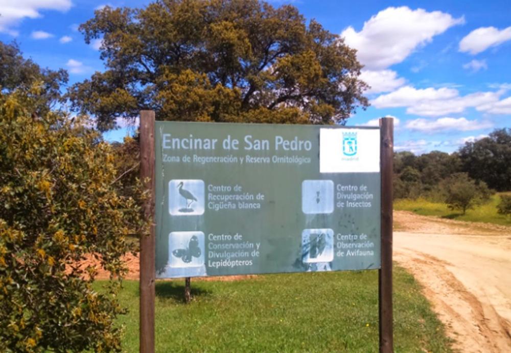 Senderismo: Encinar de San Pedro (10km)