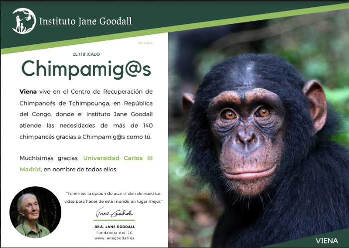 Certificado chimpamig@s apadrinado.