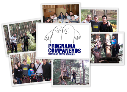 Buddy Programme