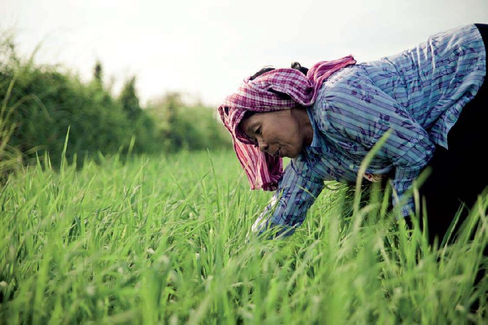 Mujer asiática cuidando su cultivo