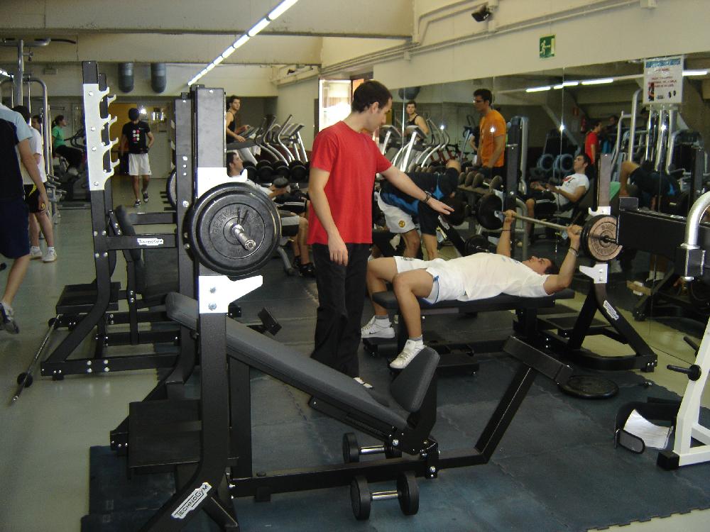 Actividad Fitness - Programa Individual