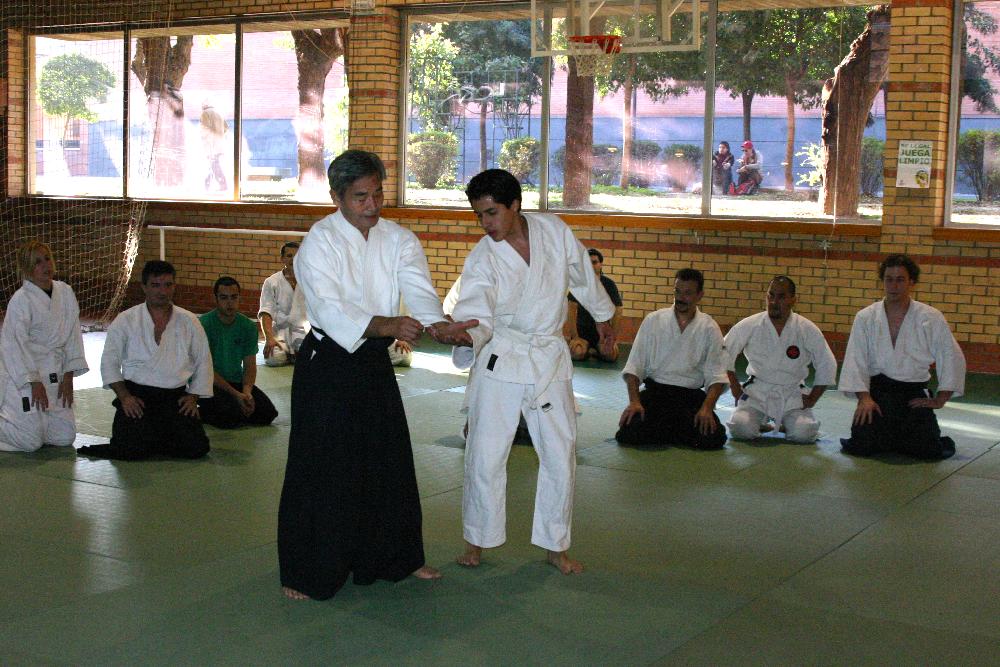 Curso Deportivo - Aikido