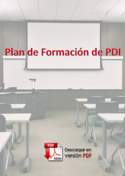 Libro del Plan de Formación del PDI