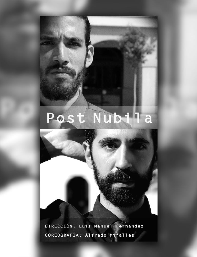 Cartel promocional para el proyecto Post Nubila