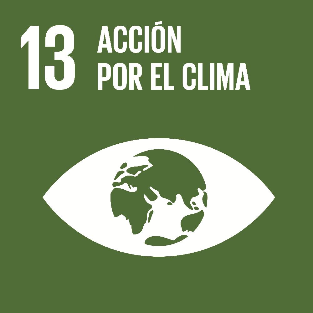 Icono del ODS 13