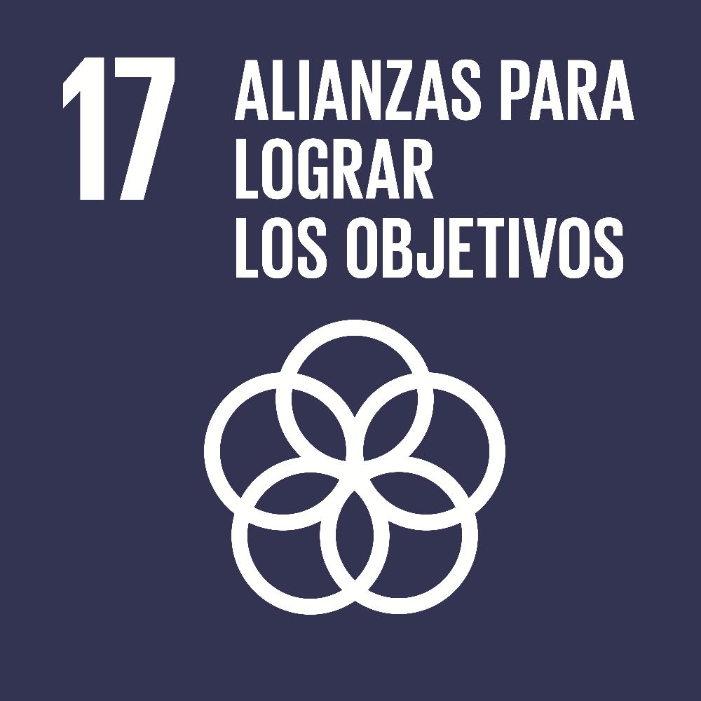 Icono del ODS 17