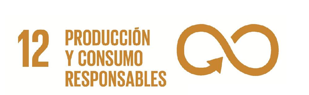 Icono del Objetivo de Desarrollo Sostenible nº 12