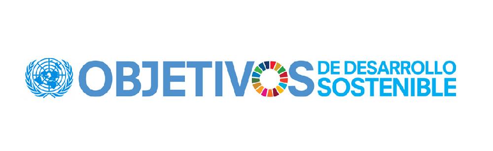 Logo oficial de los Objetivos de Desarrollo Sostenible