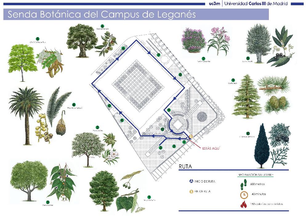 Plano de la senda botánica de Leganés