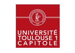 Logo Toulouse Capitole 1