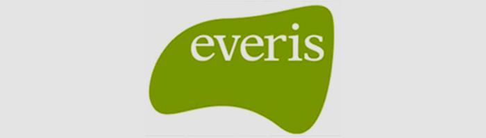 logotipo Everis