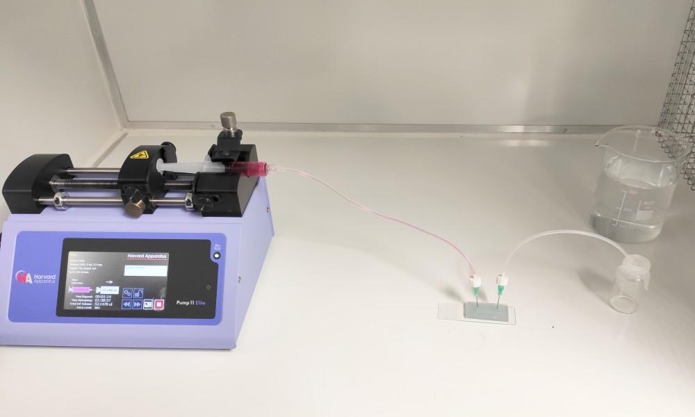 El biochip permite el cultivo de piel in vitro en su interior