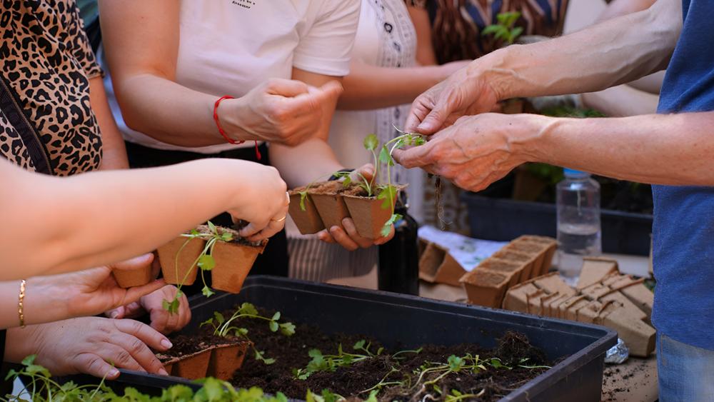 La UC3M se suma al Día Mundial del Medioambiente con un plan de reforestación en los campus