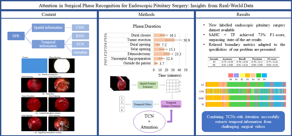 Graphical Abstract