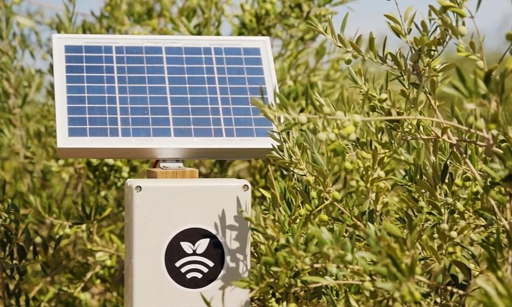 Tecnología de Plantae