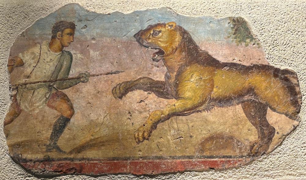 La escena representa una temática de cacería (venatio). Muestra a una figura masculina (un venator o cazador) de perfil hacia la derecha, con el cabello corto. Viste una túnica blanca corta ceñida a la cintura (que forma una especie de kolpos o pliegue embolsado) y decorada con dos franjas rojas verticales (clavi) que caen desde los hombros. El personaje aparece con el brazo izquierdo adelantado hacia la fiera, protegido para el enfrentamiento. 