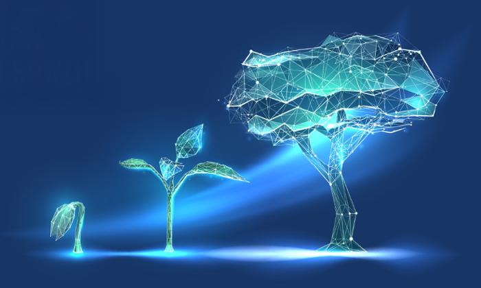 Una semilla, un brote y un arbol formados por nodos digitales sobre un fondo azul. Semana de la Ciencia 2025 UC3M.