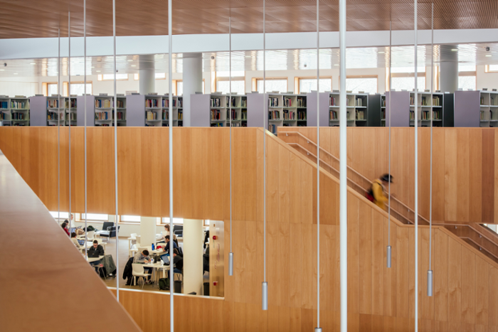 Estudios