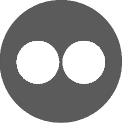 Logo Flickr gris