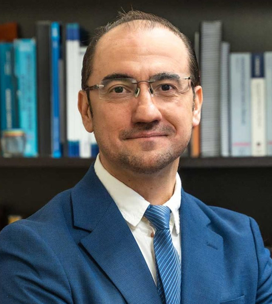 Prof. D. Ángel Arias