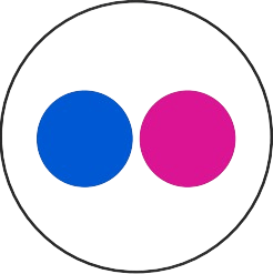 Logo Flickr color
