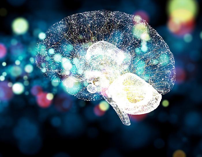 Enlightened brain