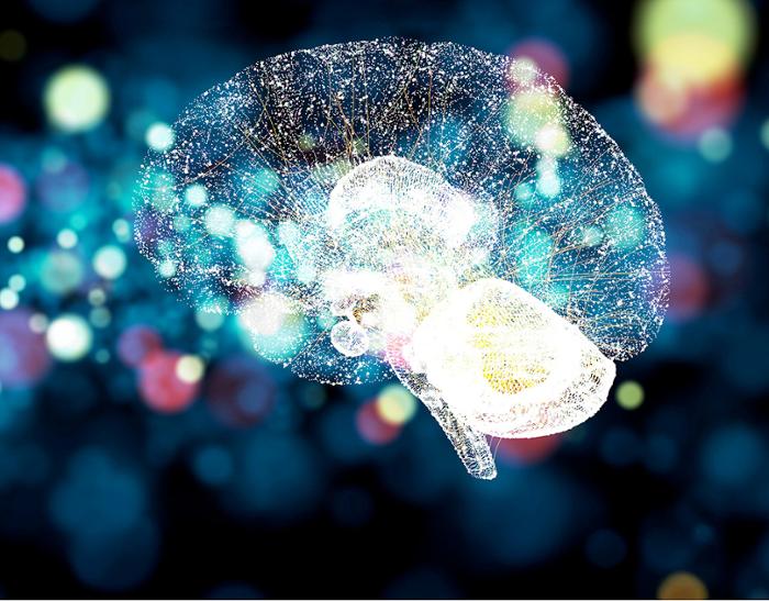 Cerebro iluminado