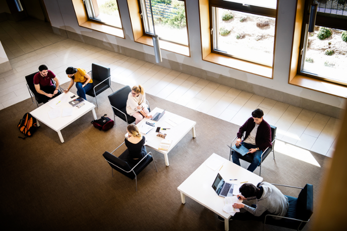 Transferencia y emprendimiento