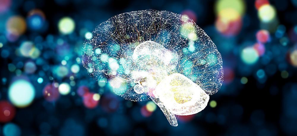 **NUEVO** Grado en Neurociencia