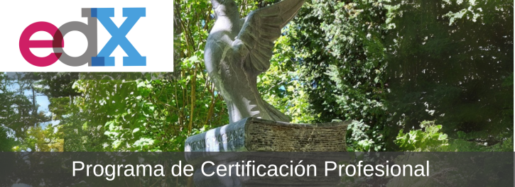 El libro: patrimonio y tecnología