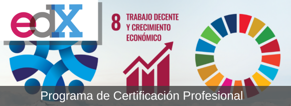 logo ods 8. Programa de certificación profesional